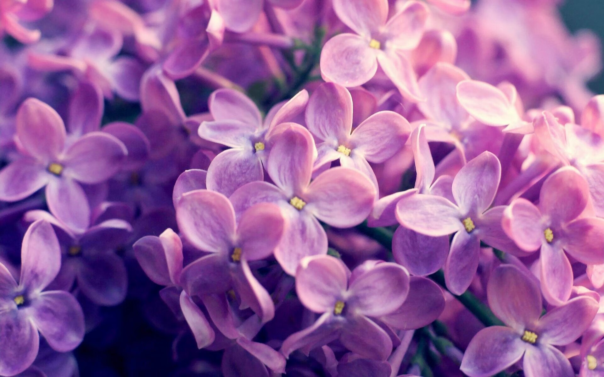 “未来之星”青少年篮球素质公开课在广州同步开启，打造高水平训练体系