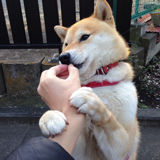 开云网页版登录入口-【社区合作】棒球运动带来的社区变化，棒球运动的魅力